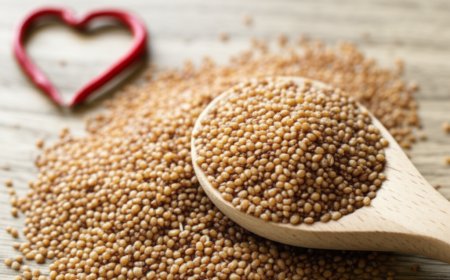 Psyllium: O Guardião Cardiovascular que Reduziu Meu Colesterol em 30%