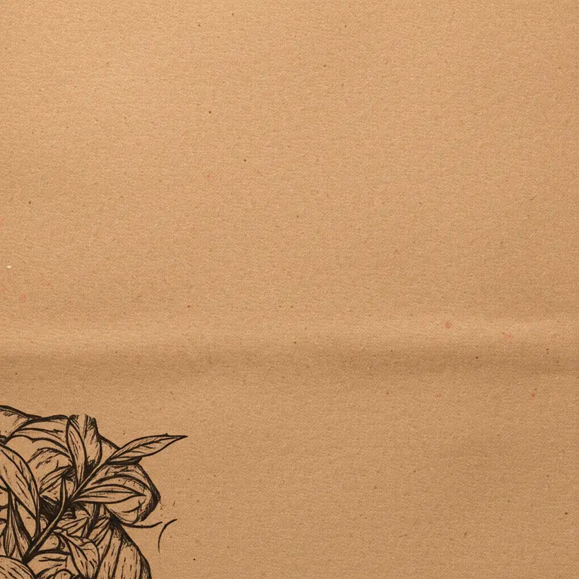 Saco kraft com um design artístico e moderno, destacando a criatividade da marca